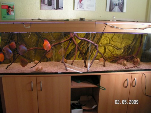 PICT0004.jpg