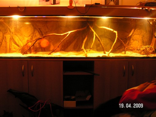 PICT0001.JPG