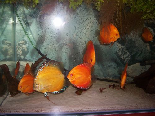 100_0983.JPG