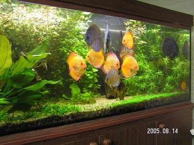 PICT00222.JPG