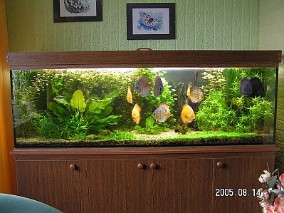 PICT00255.JPG