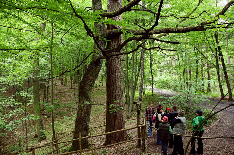 Krutyń-2009-034.jpg