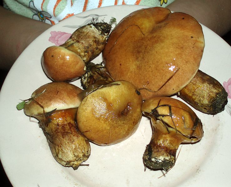 10.jpg
